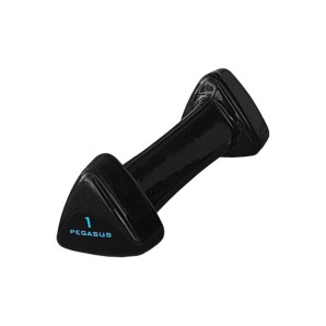 Pegasus Τρίγωνος Αλτήρας Vinyl 1kg PG‑1005