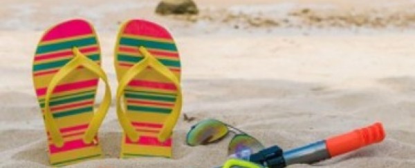 Είδη Θαλάσσης