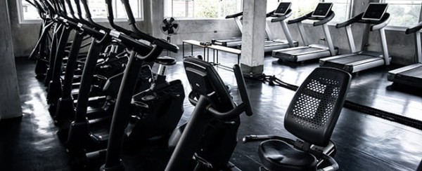 ΟΡΓΑΝΑ ΓΥΜΝΑΣΤΙΚΗΣ