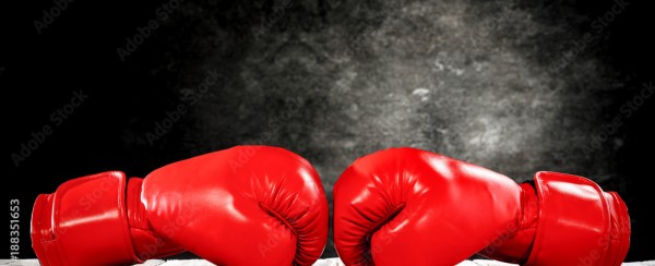 Γάντια Προπόνησης-Αγώνων  