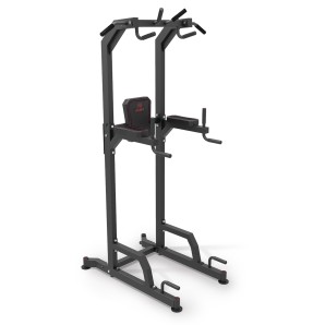 Μηχάνημα Μονόζυγο/Δίζυγο AMILA Power Tower PT800 (44274)