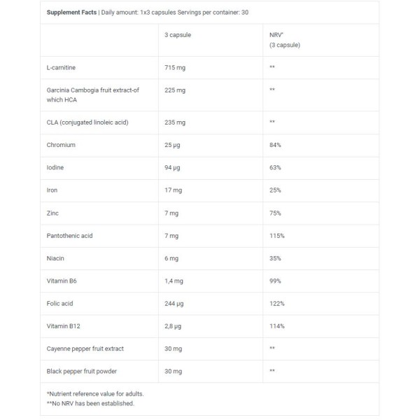 Mega Burner BioTech (90caps)