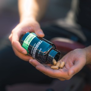 Tribooster BioTech (120tabs)