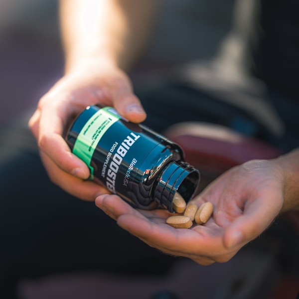 Tribooster BioTech (120tabs)