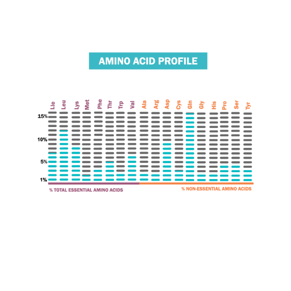 Premium Iso Touch 86% GoldTouch (2000gr)