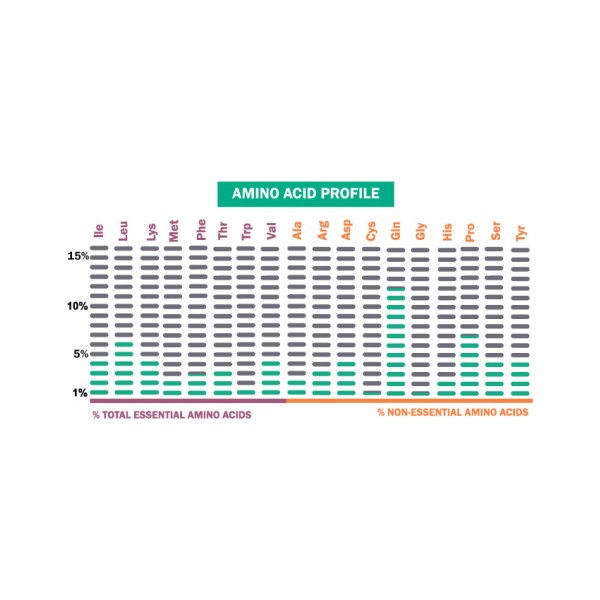 Whey Titans Zero GoldTouch (2000gr)