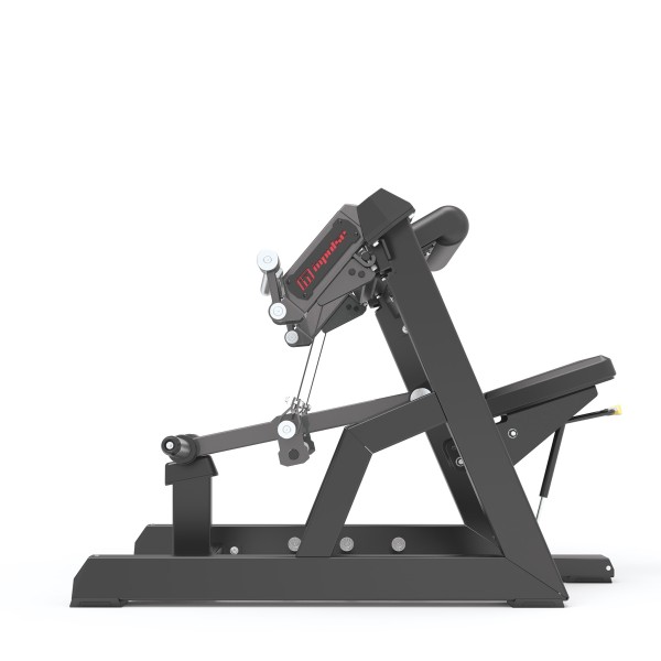 Seated Biceps Impulse ECP501