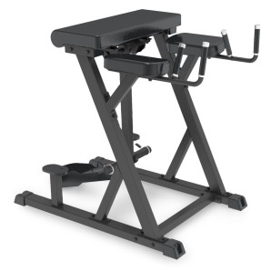 Reverse Hyperextension Impulse IFP1619