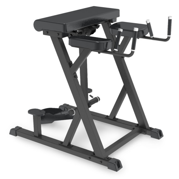 Reverse Hyperextension Impulse IFP1619