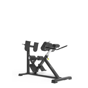 Adjustable Back Extension Bench ITF8402