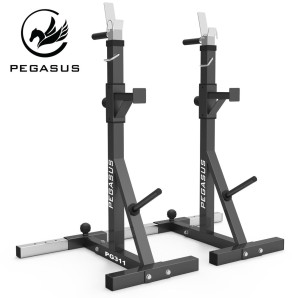 Pegasus® Ρυθμιζόμενοι Ορθοστάτες PG‑311