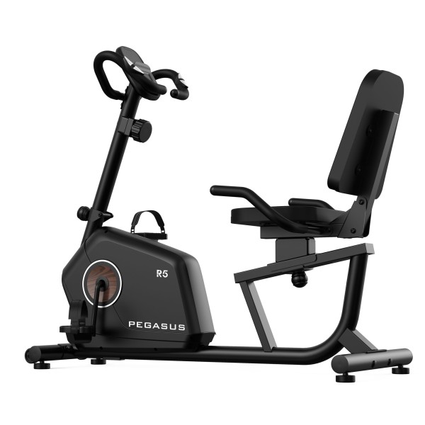 Pegasus® Καθιστό Ποδήλατο R5 3KG