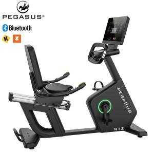 Καθιστό Ποδήλατο Pegasus® R12