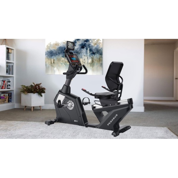 Καθιστό Ποδήλατο Pegasus® R11 15KG