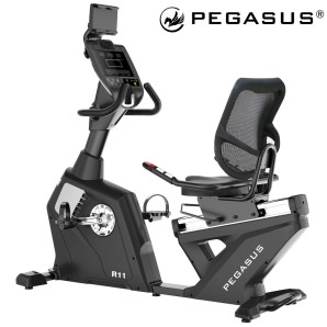 Καθιστό Ποδήλατο Pegasus® R11 15KG