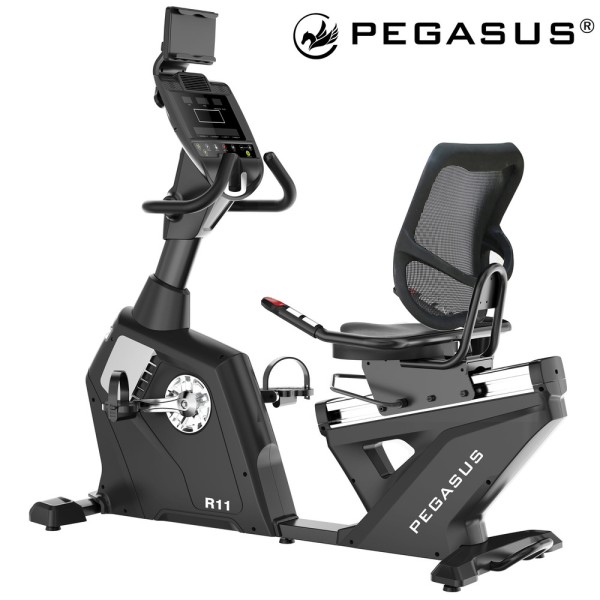 Καθιστό Ποδήλατο Pegasus® R11 15KG
