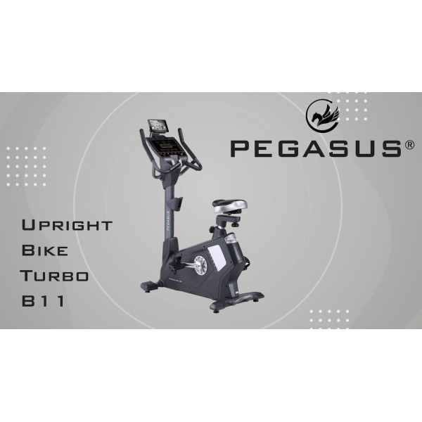 Ποδήλατο Pegasus® Turbo B11 15KG