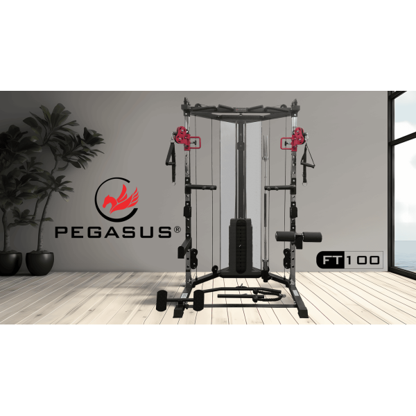 Pegasus® Functional Trainer FT‑100
