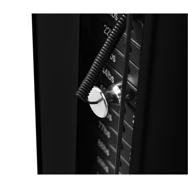 Functional Trainer Τοίχου Pegasus® T‑SC01