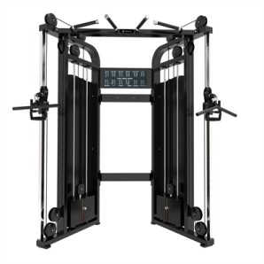 Pegasus® Functional Trainer Pro