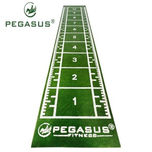 Pegasus® Συνθετικός Χλοοτάπητας 2x11m (3159)