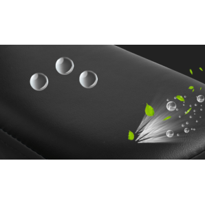 Pegasus® Μονόζυγο‑Δίζυγο PG‑026A