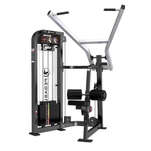 Pegasus ‑ Τροχαλία Πλάτης