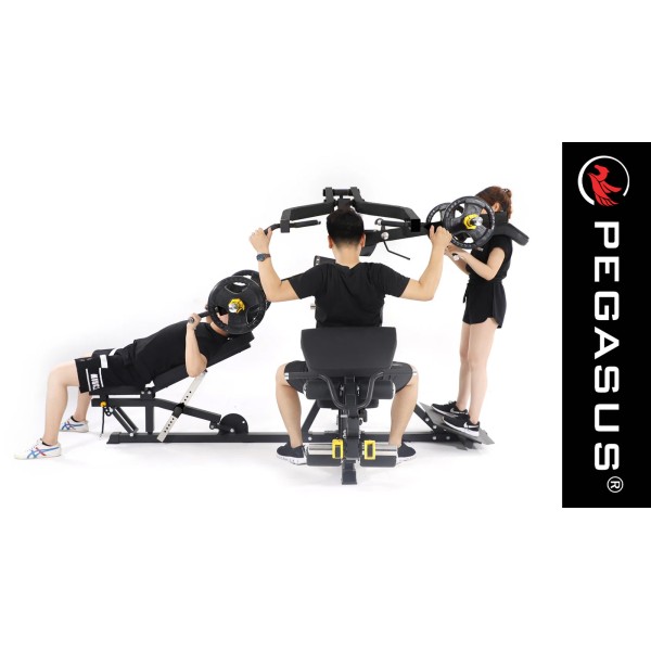 Pegasus® Πολυόργανο 3 Ατόμων PG‑167