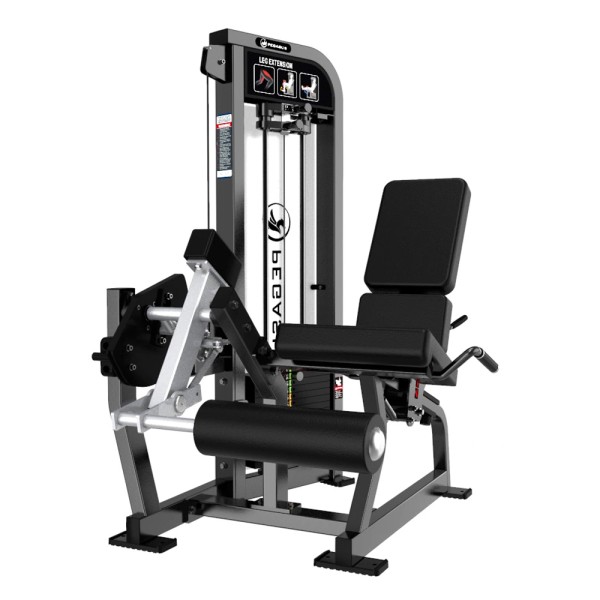 Pegasus ‑ Εκτάσεων Ποδιών