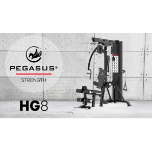 Πολυόργανο Pegasus® HG8