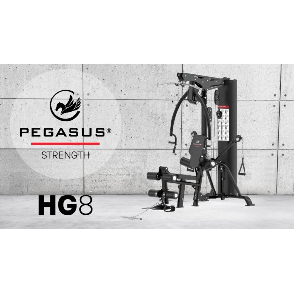 Πολυόργανο Pegasus® HG8