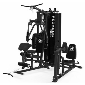 Pegasus® Pro Gym 3 Θέσεων MT‑18504‑ABC