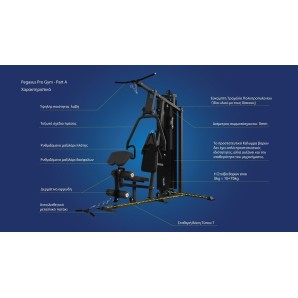 Pegasus® Pro Gym 3 Θέσεων MT‑18504‑ABC