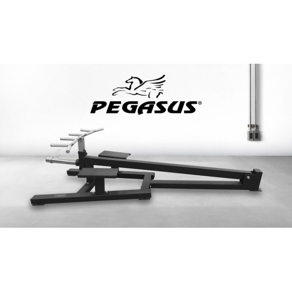 Pegasus® Μηχανή Πλάτης "Τ‑Bar"