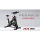 Ποδήλατο Pegasus® Spin Bike PG5 20KG