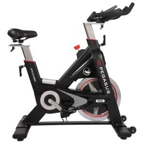 Ποδήλατο Pegasus® Spin Bike PG5 20KG