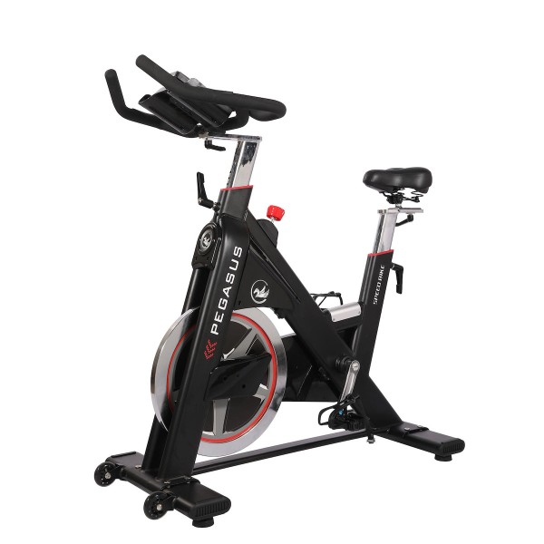 Ποδήλατο Pegasus® Spin Bike PG5 20KG