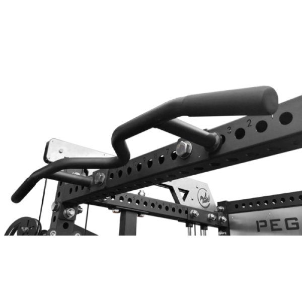 Pegasus® PG‑2000 All‑In‑One Trainer