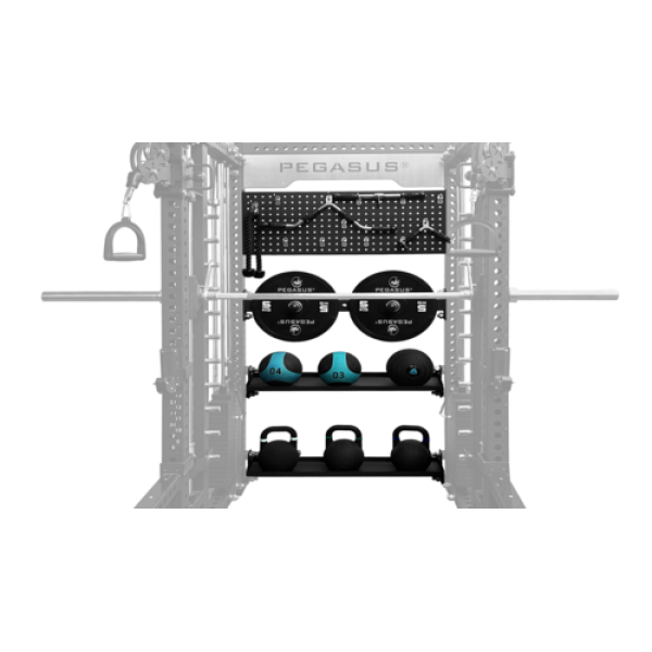 Pegasus® PG‑2000 All‑In‑One Trainer