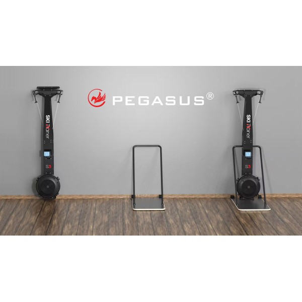 Pegasus® Ski Trainer S3