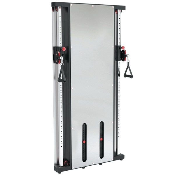 DUAL PULLEY (PRX-3500) Toorx