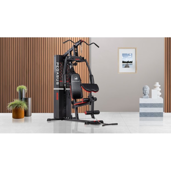 Πολυόργανο Pegasus® MS‑600 