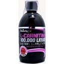 L-Carnitine Concentrate 100.000mg (500ml) Cherry BioTech