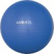 Μπάλα Γυμναστικής GYMBALL 45cm Μπλε Bulk 48085 Amila