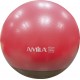 Μπάλα γυμναστικής GYMBALL 65cm Κόκκινη με Βάρος στην Βάση 48445 Amila